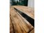 Big oak